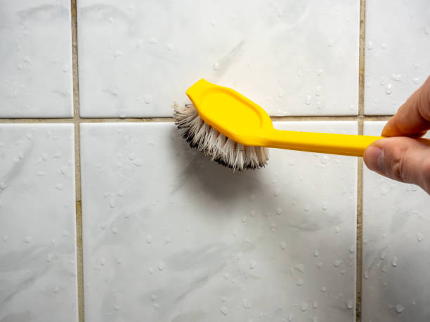 Stockton, IL Mold Removal Company